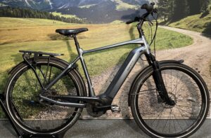 Gebruikte Giant Dailytour E+ 2 Power Heren L (Verkocht)